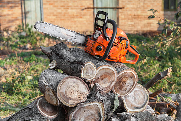 Reliable Royal City, WA Tree Service Solutions